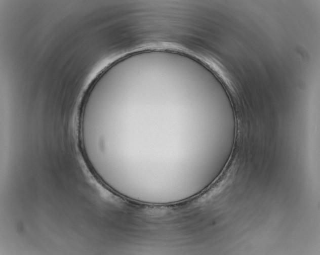 X0000111491046200907141059