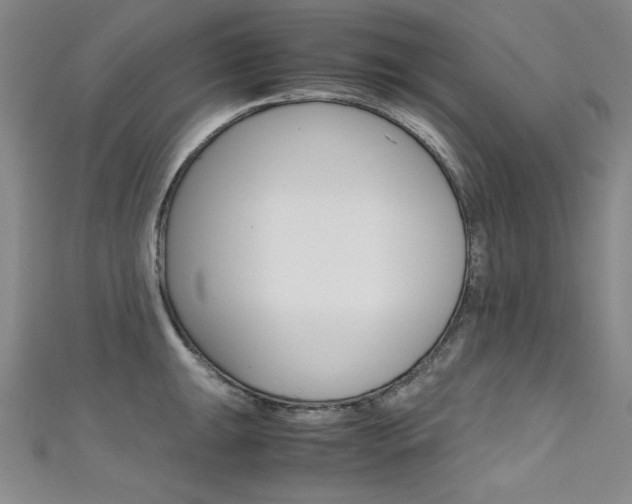 X0000111491047200907141059