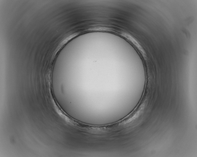 X0000111491049200907141059