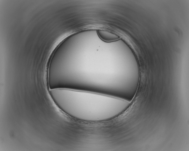 X0000111491050200907141059