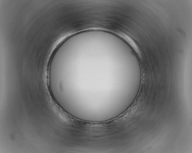 X0000111491051200907141059