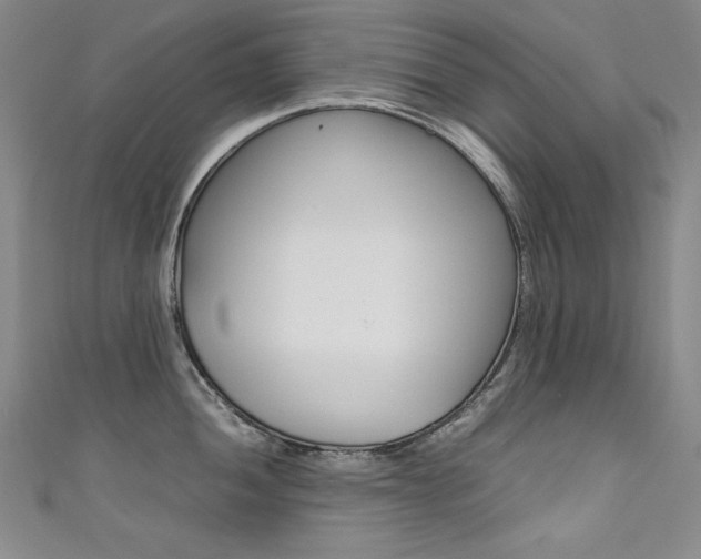 X0000111491052200907141059