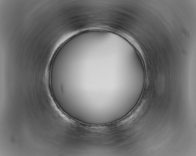 X0000111491053200907141059