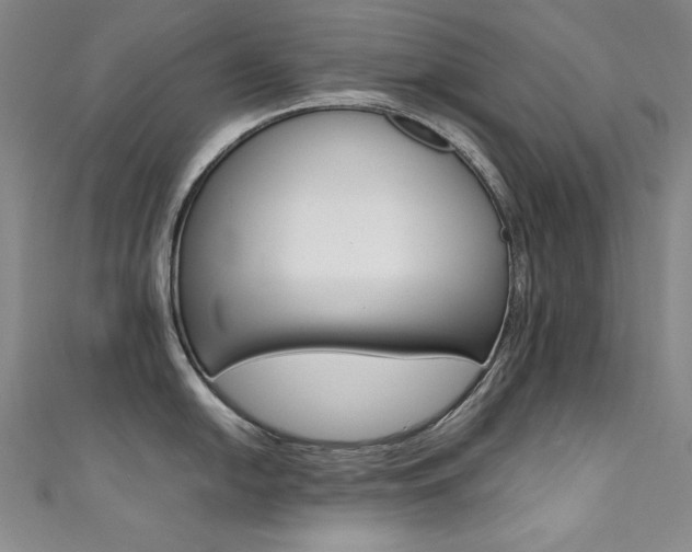 X0000111491054200907141059