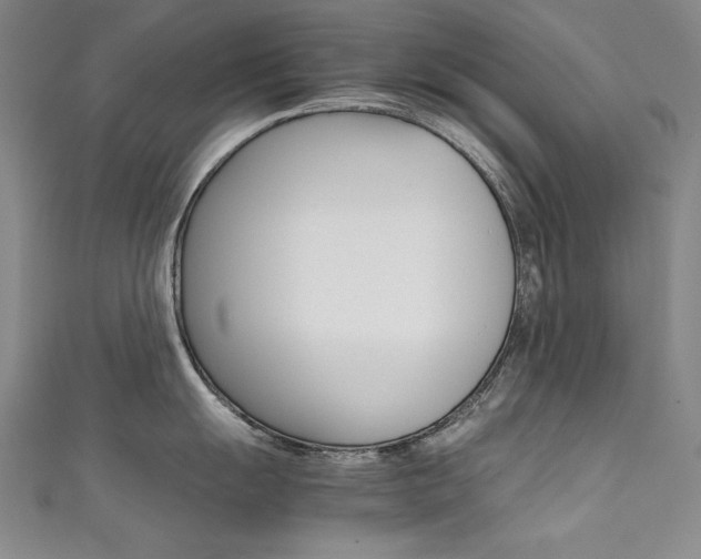 X0000111491055200907141059