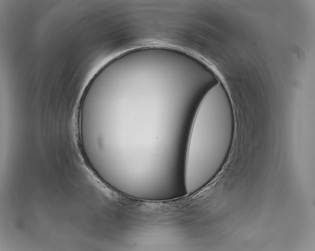 X0000111491056200907141059