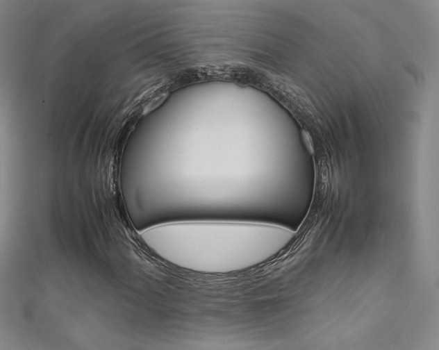 X0000111491060200907141058