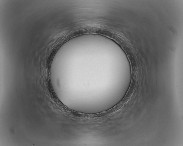 X0000111491061200907141058