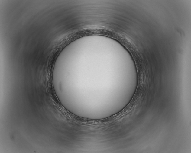 X0000111491062200907141058
