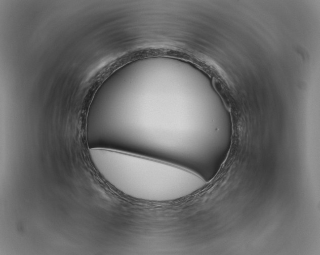 X0000111491064200907141058