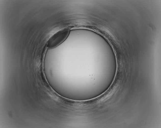 X0000111491065200907141058