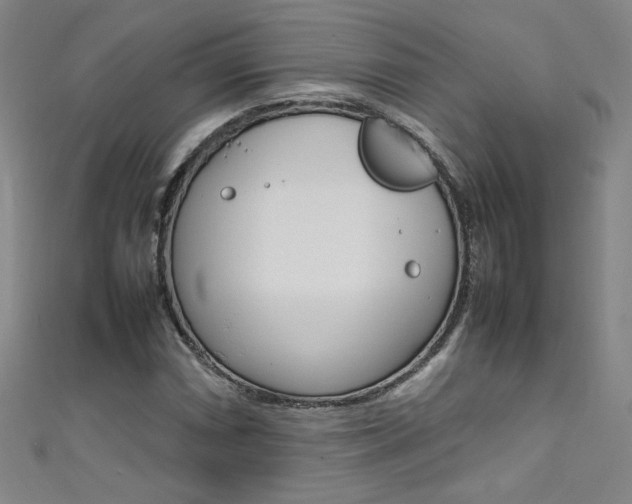 X0000111491066200907141058