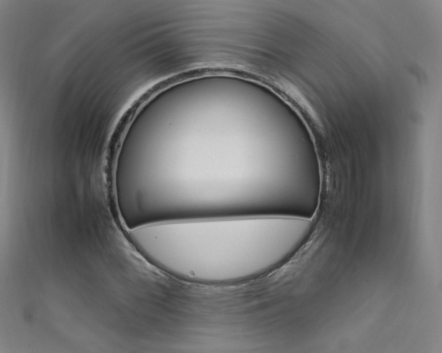 X0000111491068200907141058