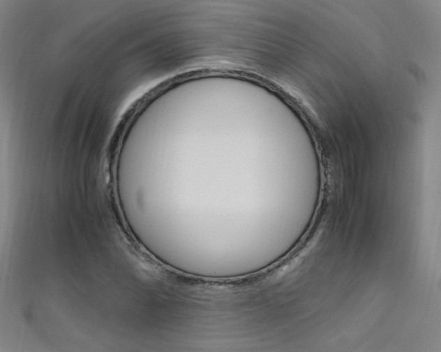 X0000111491070200907141058