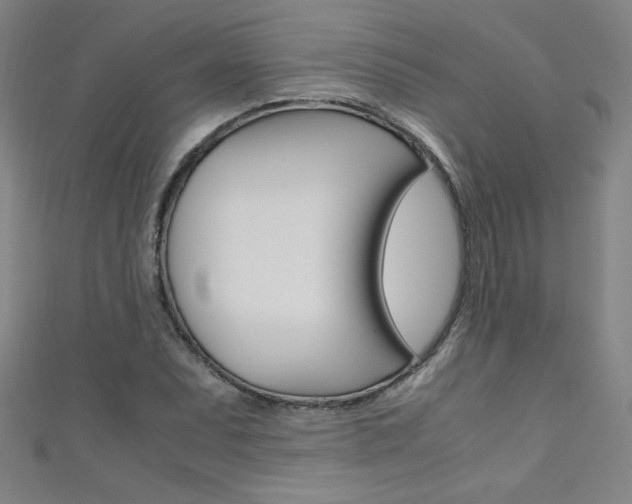 X0000111491071200907141058