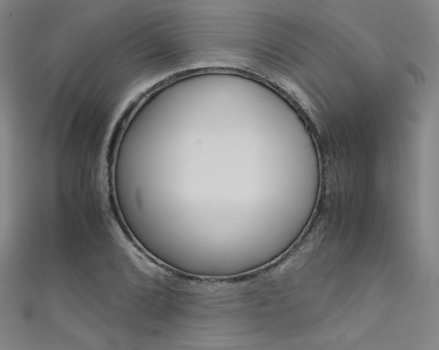 X0000111491072200907141058