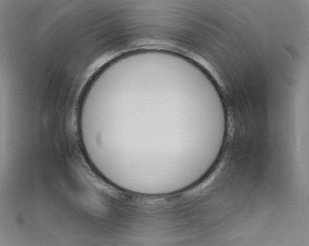 X0000111491074200907141058