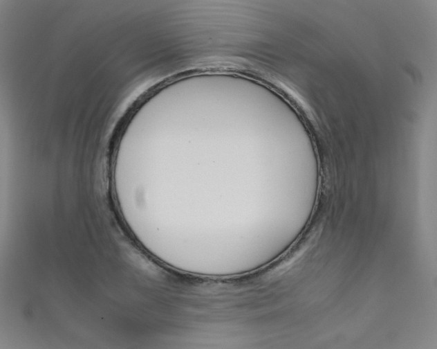 X0000111491075200907141058