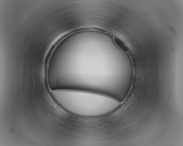 X0000111491076200907141058
