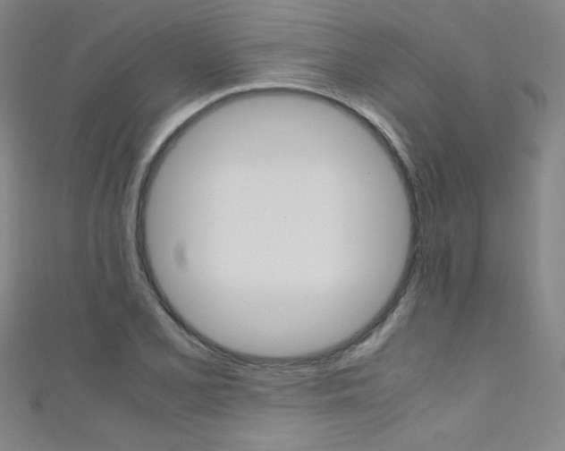 X0000111491077200907141058
