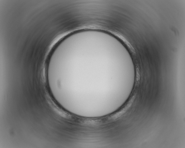 X0000111491078200907141058