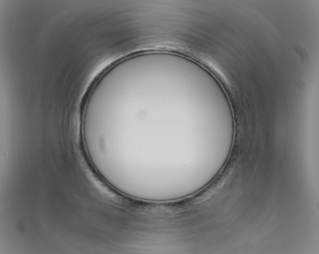 X0000111491079200907141058