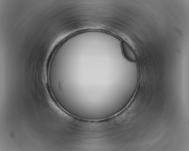 X0000111491080200907141058