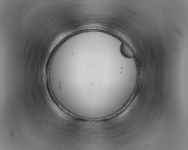X0000111491082200907141058