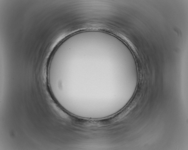 X0000111491083200907141058