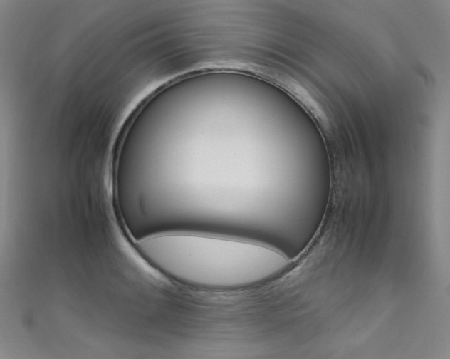 X0000111491084200907141058