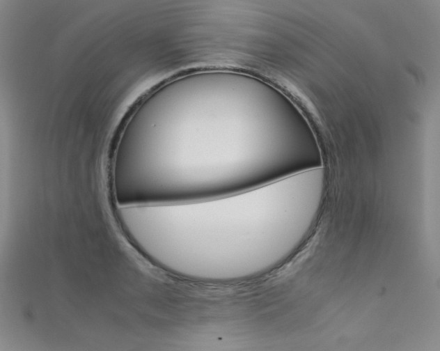 X0000111491085200907141058