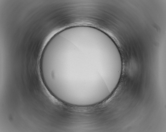 X0000111491086200907141058