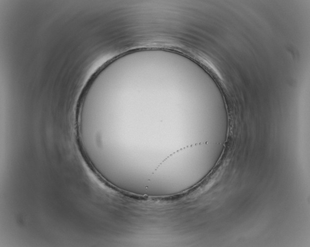 X0000111491087200907141058