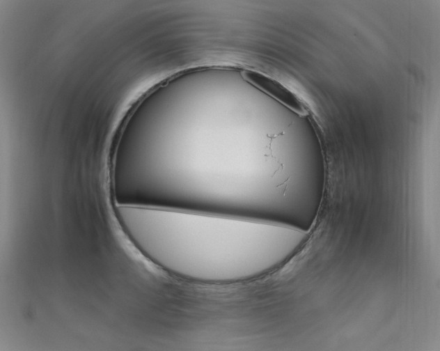 X0000111491088200907141058