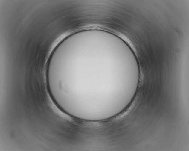 X0000111491090200907141058