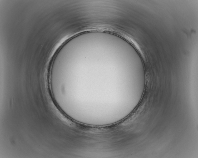 X0000111491091200907141058