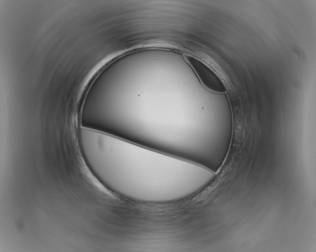 X0000111491092200907141058