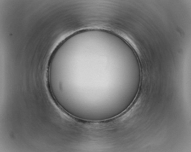 X0000111491093200907141058
