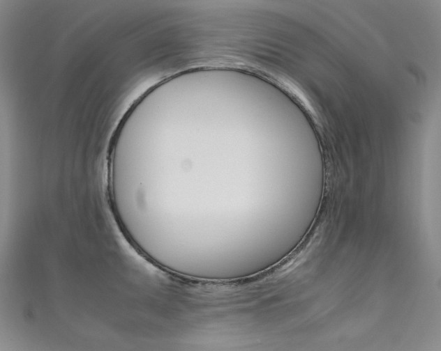 X0000111491095200907141058