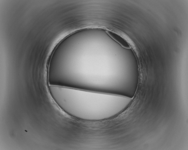 X0000111491096200907141058