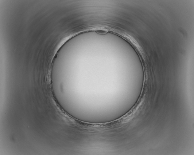 X0000111491097200907141058