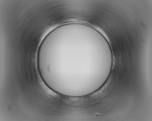 X0000111491098200907141058