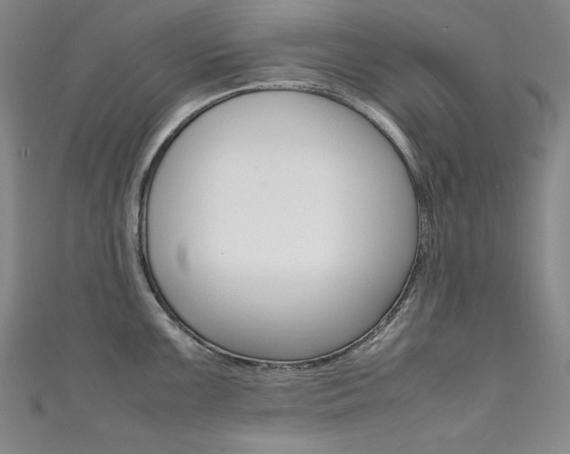 X0000111491099200907141058