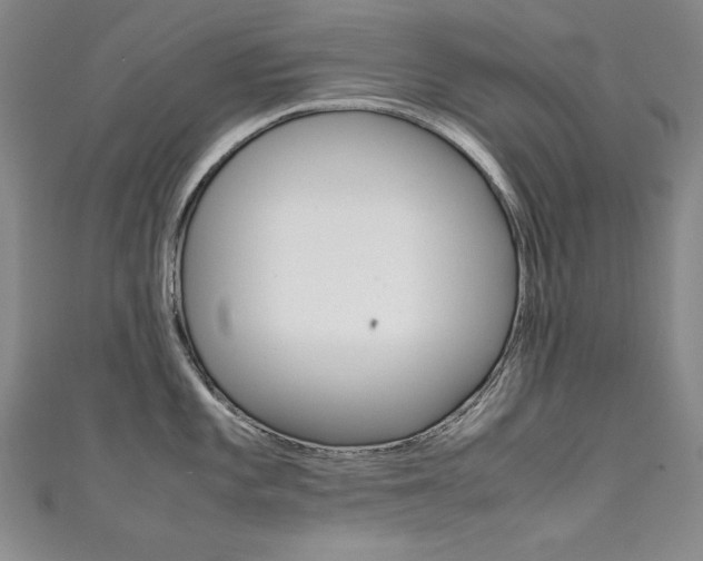 X0000111491101200907141058
