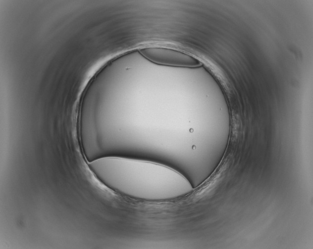 X0000111491102200907141058