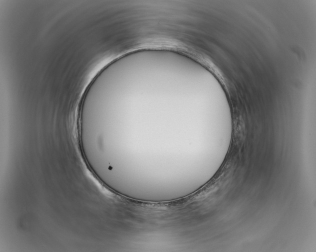 X0000111491103200907141058