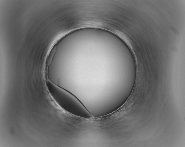 X0000111491104200907141058