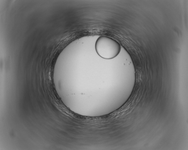 X0000111491106200907141057