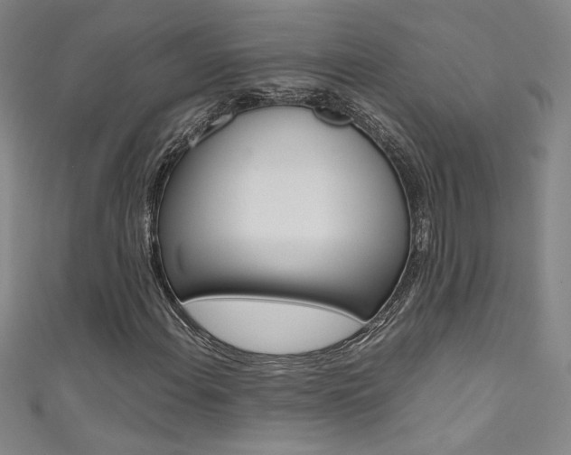 X0000111491108200907141057