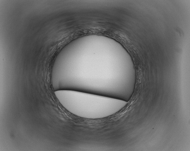 X0000111491109200907141057